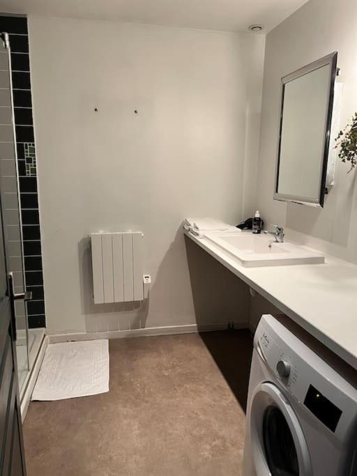 Apartment Loft En Duplex 4 Voyageurs Proche Cathedrale Reims