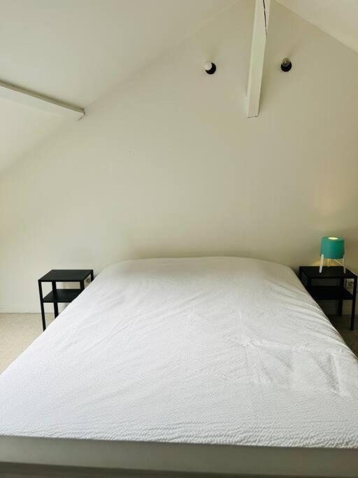Loft En Duplex 4 Voyageurs Proche Cathedrale *